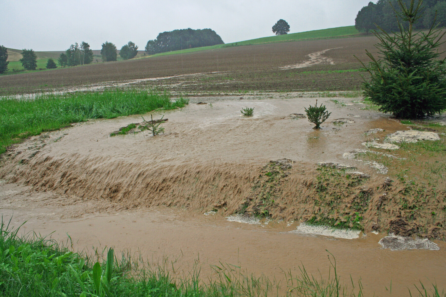 Foto zeigt ein überschwemmtes nicht bestelltes Feld dessen Erde weggeschwemmt wird durch ein Niederschlagsereignis: braunes Wasser fließt Feldrand hinab in entstandenen Bach, Feld hat leichte Hanglage