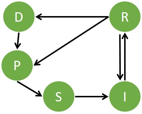 Fünf Kugeln mit den Lettern D, P, S, I und R, die mit Pfeilen zueinander in Beziehung gesetzt sind. D = Drivers, P = Pressure, S = State, I = Impakt, R = Response. Aus D folgt P folgt S folgt I folgt R. R wirkt sich aus auf D, P, S.