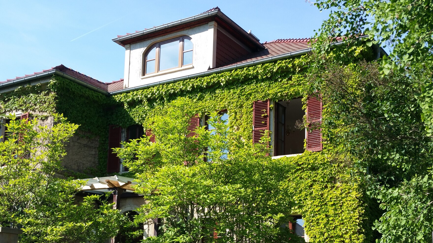 Haus mit stark begrünter Fassade