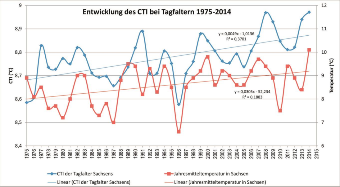 Bild 2 zeigt zwei schwankende Ganglinien mit steigendem Trend für den CTI der Tagfalter in Sachsen und die Temperaturentwicklung. Verlauf von CTI und Temperatur sind nahezu parallel. Peaks im CTI treten in warmen Jahren auf, Einbrüche in kalten.