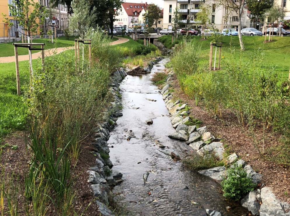 Ein naturnahh angelegter Baches in einer Kommune in Fließrichtung blickend. Er ist mit natürlichen Steinen gerandet und das Ufer ist mit Büschen und Sträuchern begrünt. Er liegt in einem grünen Park. Im Hintergund sieht man Wohnhäuser und einen Spazierweg