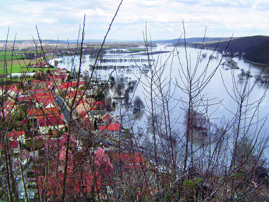 Blick von oben durch kahle Baume hindurch auf Elbe, welche durch Hochwasser stark über die Ufer getreten ist und die Häuser eines nahen Ortes überschwemmt hat.